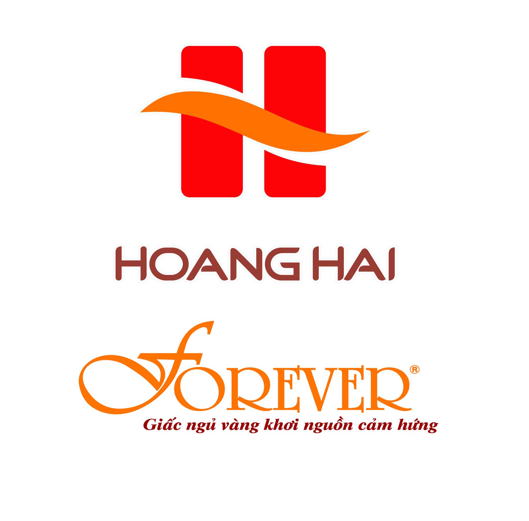 CÔNG TY CỔ PHẦN THƯƠNG MẠI HOÀNG HẢI