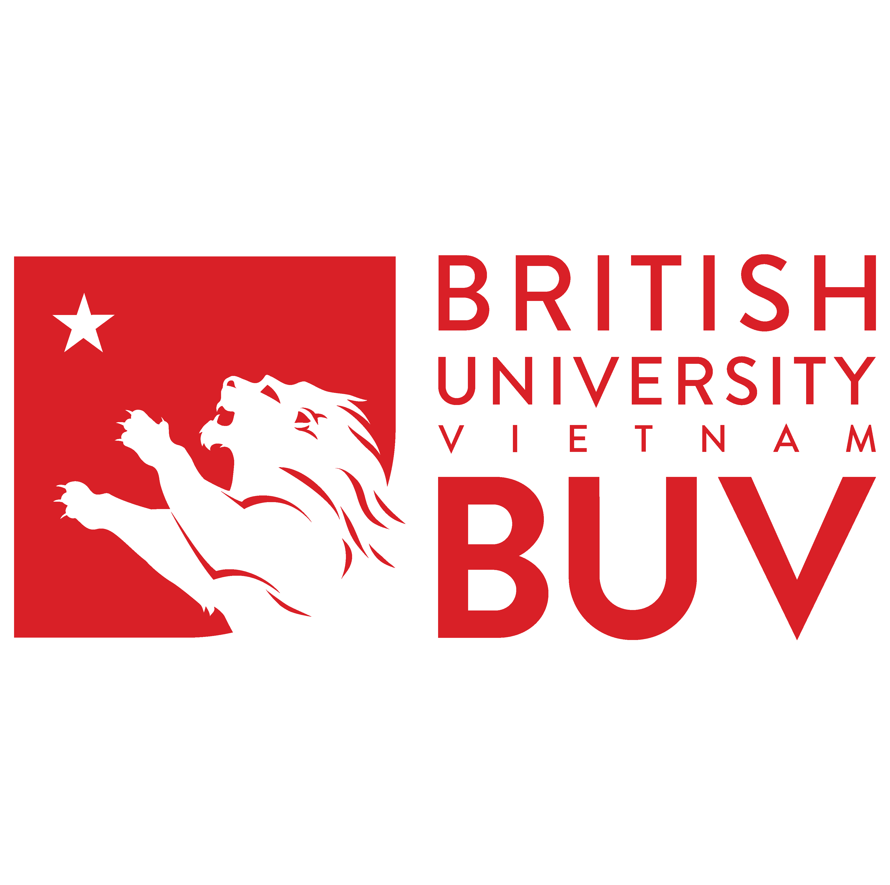 BRITISH UNIVERSITY VIETNAM